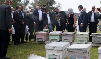 İzmir’de Roman kadınlara arı kovanı desteği