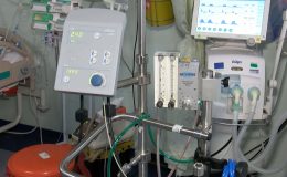 Akciğer yetmezliğinde ECMO cihazı  tedavisi