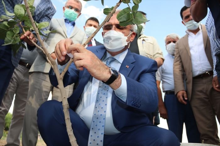 Diyarbakır’da sert kabuklu meyve üretimi artırılacak