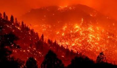 California’daki ”Caldor yangını” 756 kilometrekare alanı tahrip etti