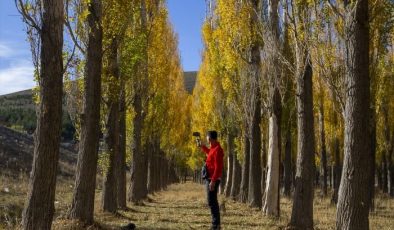 Erzurum’un meşhur Tekederesi mesire alanında sonbahar
