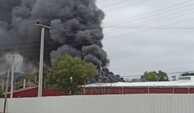 Kocaeli’de raf fabrikasında yangın çıktı