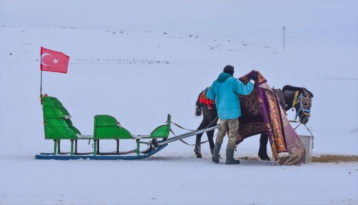 Çıldır Gölü’nde Kızakçılar atlarını soğuktan korumaya çalışıyor