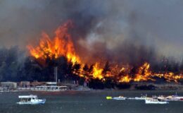 Bodrum’daki yangının faili ormanı 100 bin TL’ye yakmış
